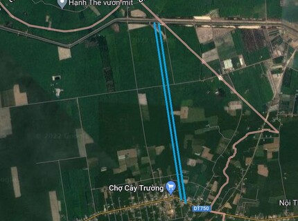 Xã Cây Trường II