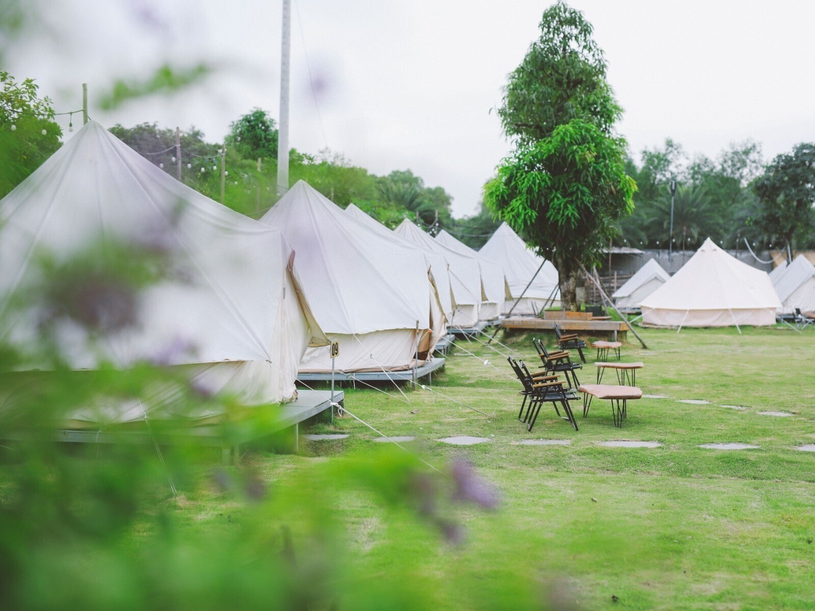 A New Day Glamping Tân Uyên